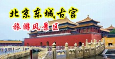 大屌插小穴中国北京-东城古宫旅游风景区